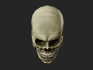scull 3d low polygon 3D Model