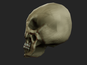 scull 3d low polygon 3D Model