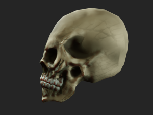 scull 3d low polygon 3D Model