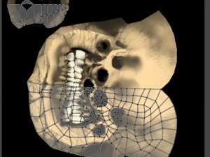 scull 3d low polygon 3D Model