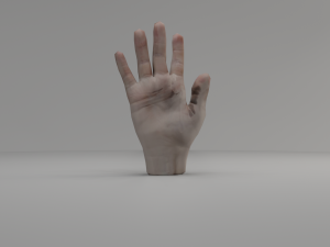 3d hand rigged animated 3D मॉडल