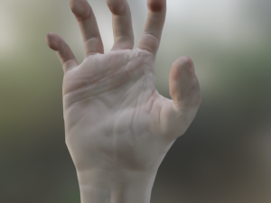 3d hand rigged animated 3Dモデル