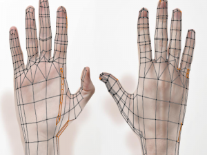 3d hand rigged animated 3Dモデル