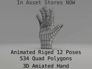 3d hand rigged animated 3D Model