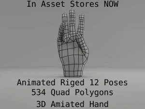 3d hand rigged animated 3D Model