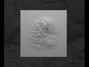 8 个适用于 Zbrush 的动物或生物毛发和毛皮 VDM 笔刷套装 3D 模型