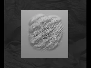 8 个适用于 Zbrush 的动物或生物毛发和毛皮 VDM 笔刷套装 3D 模型