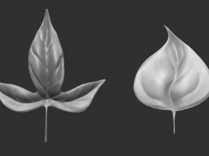 14 high-poly leafs and branches Zbrush IMM brush set 3D Model