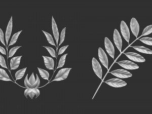 14 high-poly leafs and branches Zbrush IMM brush set 3D Model