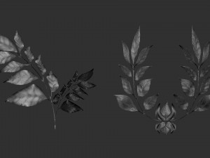 14 high-poly leafs and branches Zbrush IMM brush set 3D Model