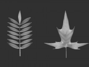 14 high-poly leafs and branches Zbrush IMM brush set 3D Model