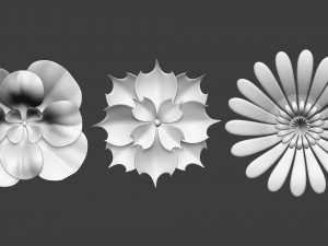 25 Decorative and heraldic flower heads Insert Multi Mesh brush set IMM for Zbrush 3D Model