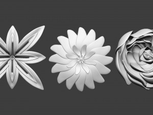 25 Decorative and heraldic flower heads Insert Multi Mesh brush set IMM for Zbrush 3D Model