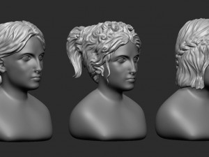 15 Female greek or roman statue hair styles and hairdoo mid-poly IMM brush set for Zbrush fbx obj 3D Модель