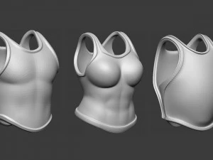 20 Low-poly medieval fantasy body armor base mesh shapes IMM zbrush set and fbx obj files 3D Model