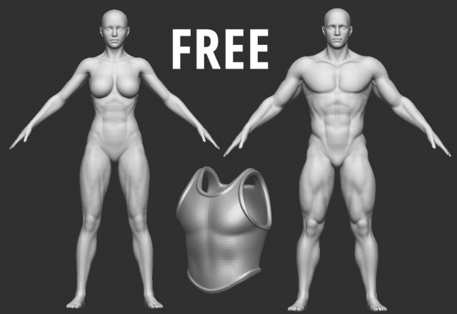 Low Poly Male Foot Sculpt Zbrush 3D Model $29 - .ztl - Free3D