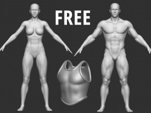 20 Low-poly medieval fantasy body armor base mesh shapes IMM zbrush set and fbx obj files Modèle 3D