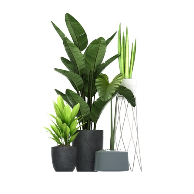 bonsai 3D Модель .c4d .max .obj .3ds .fbx .stl .blend