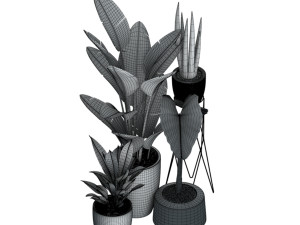 bonsai 3D Модель