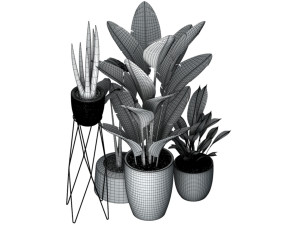 bonsai 3D Модель