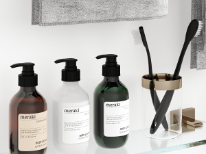 Bath Accessories - Brizo Gatco 3D Model