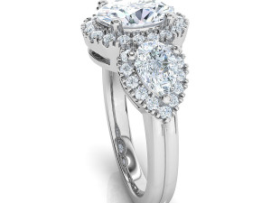 fancy ring 3D Print Model