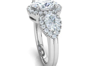 fancy ring 3D Print Model