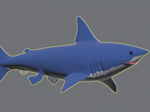 shark 3D 模型