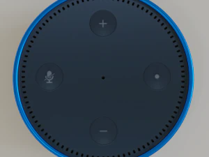 titik gema amazon Model 3D