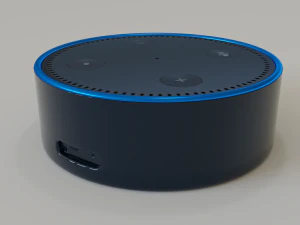 titik gema amazon Model 3D