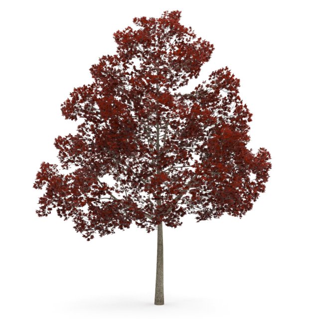 tree Modelo 3D .c4d .max .obj .3ds .fbx .stl .blend 
