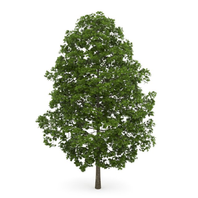 tree Modelo 3D .c4d .max .obj .3ds .fbx .stl .blend 