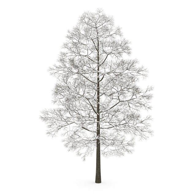 tree 3D 模型 .c4d .max .obj .3ds .fbx .stl .blend 