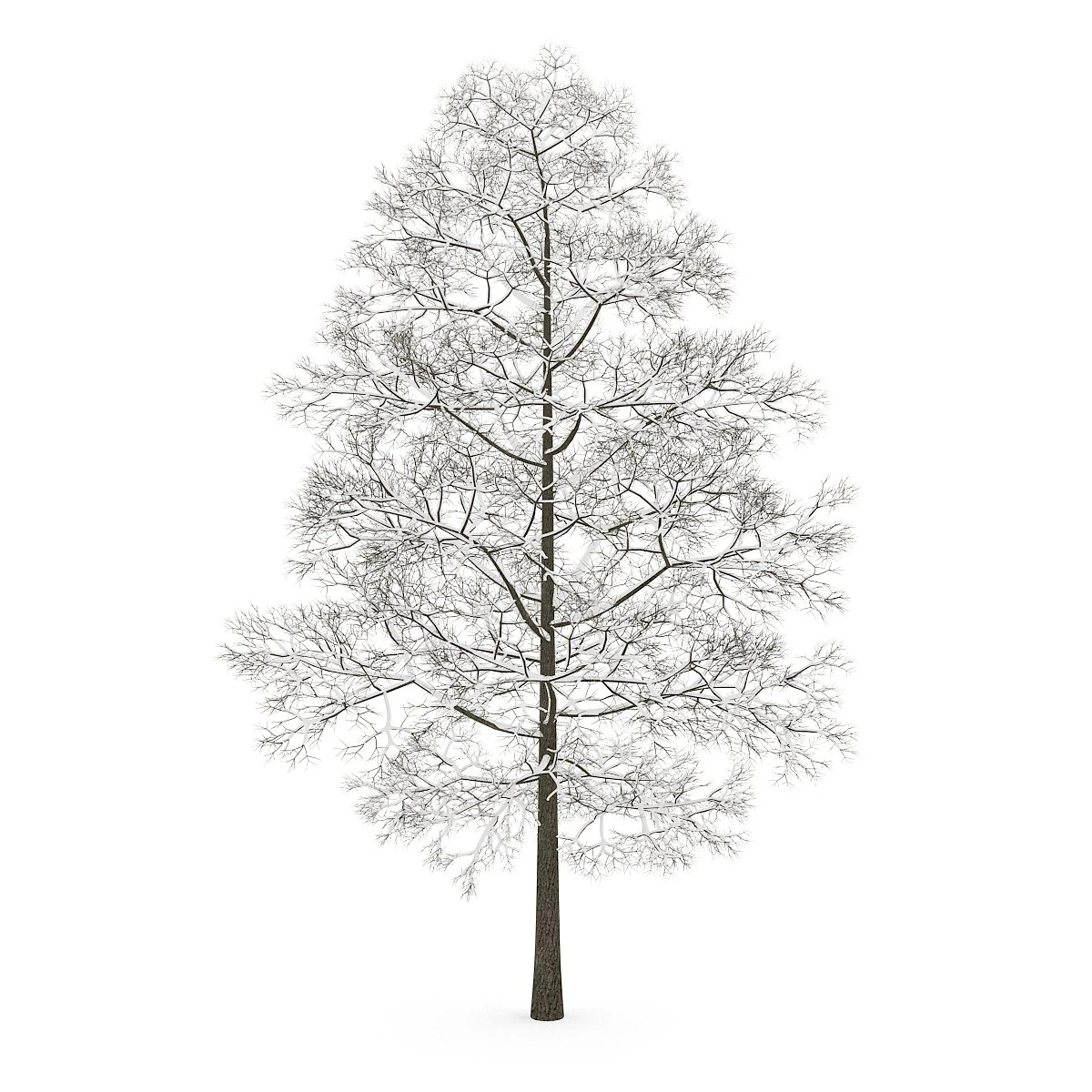 arbre Modèle 3D .c4d .max .obj .3ds .fbx .stl .blend