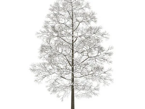 &aacute;rvore Modelo 3D