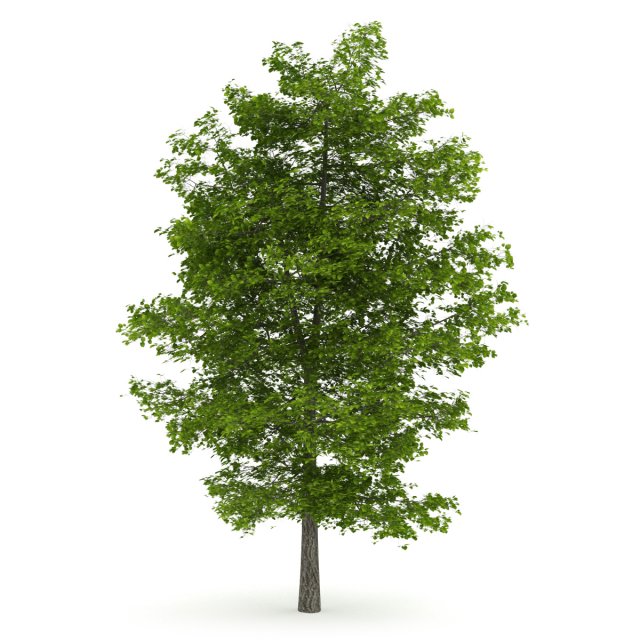 tree Modelo 3D .c4d .max .obj .3ds .fbx .stl .blend 