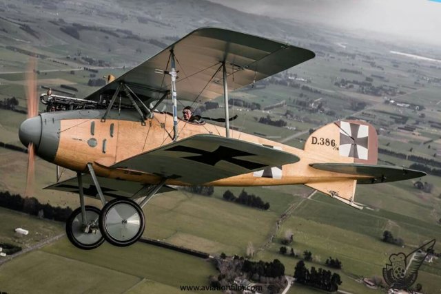 Albatros d2 Modello 3D .c4d .max .obj .3ds .fbx .stl .blend 
