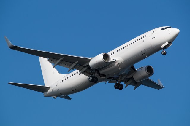 Boeing 737-800 3Dモデル .c4d .max .obj .3ds .fbx .stl .blend 