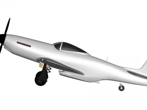 P-51D Mustang 3D Model