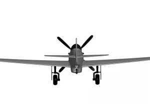 P-51D Mustang 3D Model