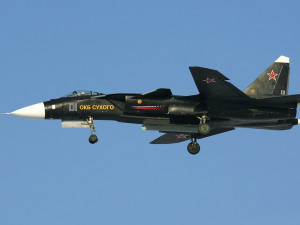 Sukhoi Su-47 Model 3D