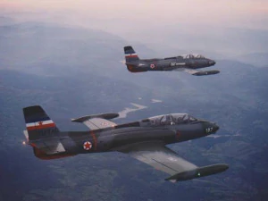 J-21 jastreb Model 3D