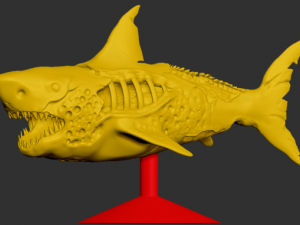 zombie shark 3D printmodel