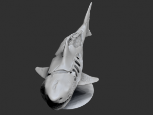 zombie shark 3D printmodel