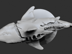 zombie shark 3D printmodel