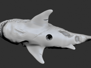 zombie shark 3D printmodel