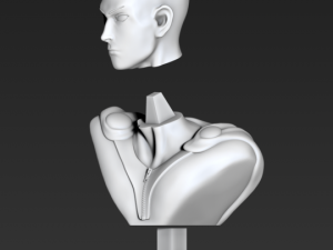 bust of saitama from one-punch man Modelo de Impressão 3D