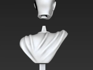 bust of saitama from one-punch man 3D Print Model