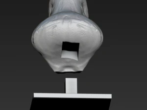 busto de matanza Modelo de impresión 3D