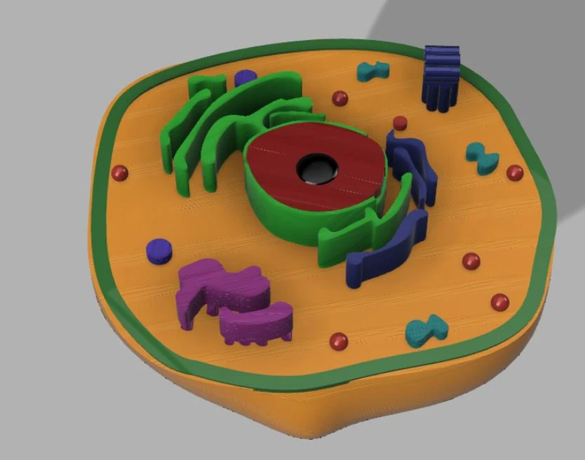 animal cell 3D Model .c4d .max .obj .3ds .fbx .stl .blend